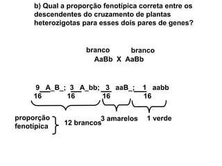 b) Qual a proporção fenotípica correta entre os 
descendentes do cruzamento de plantas 
heterozigotas para esses dois pares de genes? 
branco branco 
AaBb X AaBb 
9 A_B_; 3 A_bb; 3 aaB_; 1 aabb 
16 16 16 16 
12 brancos proporção 3 amarelos 1 verde 
fenotípica 
 