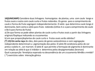 14)(UNICAMP) Considere duas linhagens homozigotas de plantas, uma com caule longo e 
frutos ovais e outra com caule curto e frutos redondos. Os genes para o comprimento do 
caule e forma do fruto segregam independentemente. O alelo que determina caule longo é 
dominante, bem como o alelo para fruto redondo.(Utilize A e a para comprimento do caule 
e Be b para forma do fruto) 
a) De que forma se pode obter plantas de caule curto e frutos ovais a partir das linhagens 
originais?Explique indicando os cruzamentos 
b) em que proporçãoplantas de caule curto e frutos ovais serão obtidas? 
(*) 15) Em certa raça de cães, dois pares de genes autossômicos e com segregaçào 
independente determinam a pigmentação dos pelos: O alelo M condiciona pelos de cor 
preta e oalelo m , cor marrom. O alelo B que permite a formaçào de pigmento é dominante 
em relação ao alelo b que é inibidor e determina pelos despigmentados (brancos) 
Qual a porporção fenotípica esperada na descendência de um cruzamento MmBb x mmbb? 
( *) exercícios sobre interação gênica 
