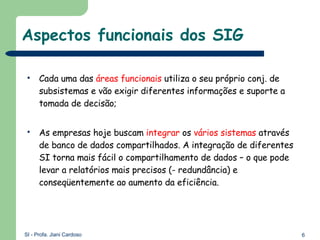 Aspectos funcionais dos SIG  Cada uma das  áreas funcionais  utiliza o seu próprio conj. de subsistemas e vão exigir diferentes informações e suporte a tomada de decisão; As empresas hoje buscam  integrar  os  vários sistemas  através de banco de dados compartilhados. A integração de diferentes SI torna mais fácil o compartilhamento de dados – o que pode levar a relatórios mais precisos (- redundância) e conseqüentemente ao aumento da eficiência.  