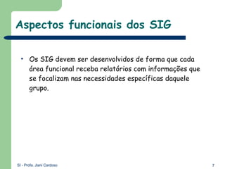 Aspectos funcionais dos SIG  Os SIG devem ser desenvolvidos de forma que cada área funcional receba relatórios com informações que se focalizam nas necessidades específicas daquele grupo. 