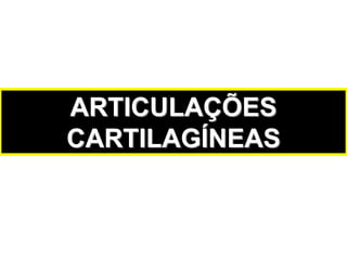 ARTICULAÇÕES
CARTILAGÍNEAS
 