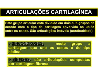 Este grupo articular está dividido em dois sub-grupos de
acordo com o tipo da cartilagem envolvida na união
entre os ossos. São articulações imóveis (continuidade)
 SINCONDROSES: neste grupo a
cartilagem que une os ossos é do tipo
hialina.
 SÍNFISES: são articulações compostas
por cartilagem fibrosa.
ARTICULAÇÕES CARTILAGÍNEA
 
