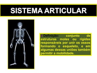  Definição: conjunto de
estruturas moles ou rígidas
responsáveis por unir os ossos
formando o esqueleto, e em
algumas dessas uniões também
permitir a mobilidade.
SISTEMA ARTICULAR
 