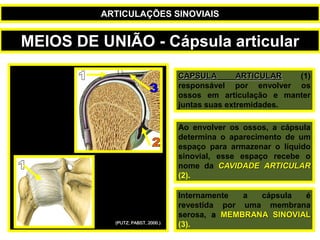 CÁPSULA ARTICULAR (1)
responsável por envolver os
ossos em articulação e manter
juntas suas extremidades.
Ao envolver os ossos, a cápsula
determina o aparecimento de um
espaço para armazenar o líquido
sinovial, esse espaço recebe o
nome da CAVIDADE ARTICULAR
(2).
Internamente a cápsula é
revestida por uma membrana
serosa, a MEMBRANA SINOVIAL
(3).
(PUTZ; PABST, 2000.)
MEIOS DE UNIÃO - Cápsula articular
ARTICULAÇÕES SINOVIAIS
 