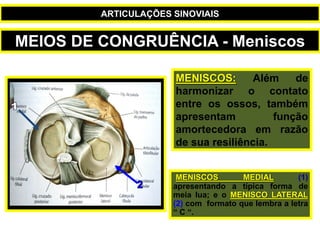 MENISCOS: Além de
harmonizar o contato
entre os ossos, também
apresentam função
amortecedora em razão
de sua resiliência.
MENISCOS MEDIAL (1)
apresentando a típica forma de
meia lua; e o MENISCO LATERAL
(2) com formato que lembra a letra
“ C “.
MEIOS DE CONGRUÊNCIA - Meniscos
ARTICULAÇÕES SINOVIAIS
 