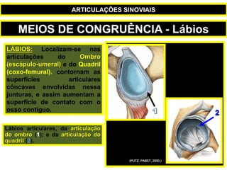 LÁBIOS: Localizam-se nas
articulações do Ombro
(escápulo-umeral) e do Quadril
(coxo-femural). contornam as
superfícies articulares
côncavas envolvidas nessa
junturas, e assim aumentam a
superfície de contato com o
osso contíguo.
Lábios articulares, da articulação
do ombro (1); e da articulação do
quadril (2).
(PUTZ; PABST, 2000.)
MEIOS DE CONGRUÊNCIA - Lábios
ARTICULAÇÕES SINOVIAIS
 