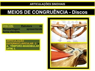 DISCOS: Estrutura de
fibrocartilagem apresentando
forma discóide.
ARTICULAÇÃO
ESTERNOCLAVICULAR 2 e
A. TÊMPORO-MANDIBULAR
(ATM) 3.
MEIOS DE CONGRUÊNCIA - Discos
ARTICULAÇÕES SINOVIAIS
 