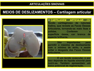  CARTILAGEM ARTICULAR (1):
Tecido cartilaginoso de natureza
hialina, que reveste as Faces Ósseas
Articulares, tornando-as mais lisas e
polidas. Conferem a
superfície óssea, cor branca de
aspecto brilhante.
São importantes para
permitir o máximo de deslizamento
com o mínimo de atrito, e assim
evitar o desgaste das Faces Ósseas
Articulares.
É um tecido avascular, e por
isso depende do líquido sinovial para
nutrir-se. Também apresentam um
baixo potencial de regeneração.
MEIOS DE DESLIZAMENTOS – Cartilagem articular
ARTICULAÇÕES SINOVIAIS
 