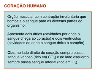 CORAÇÃO HUMANO

 Órgão muscular com contração involuntária que
 bombeia o sangue para as diversas partes do
 organismo.

 Apresenta dois átrios (cavidades por onde o
 sangue chega ao coração) e dois ventrículos
 (cavidades de onde o sangue deixa o coração).

 Obs: no lado direito do coração sempre passa
 sangue venoso (rico em CO2) e no lado esquerdo
 sempre passa sangue arterial (rico em O2).
 