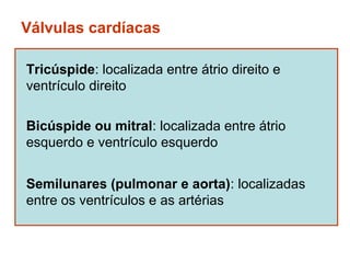 Válvulas cardíacas

Tricúspide: localizada entre átrio direito e
ventrículo direito

Bicúspide ou mitral: localizada entre átrio
esquerdo e ventrículo esquerdo


Semilunares (pulmonar e aorta): localizadas
entre os ventrículos e as artérias
 