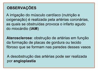 OBSERVAÇÕES
A irrigação do músculo cardíaco (nutrição e
oxigenação) é realizada pela artérias coronárias,
as quais se obstruídas provoca o infarto agudo
do miocárdio (IAM)

Aterosclerose: obstrução de artérias em função
da formação de placas de gordura ou tecido
fibroso que se formam nas paredes desses vasos

A desobstrução das artérias pode ser realizada
por angioplastia
 