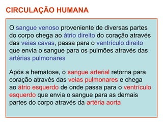 CIRCULAÇÃO HUMANA

O sangue venoso proveniente de diversas partes
do corpo chega ao átrio direito do coração através
das veias cavas, passa para o ventrículo direito
que envia o sangue para os pulmões através das
artérias pulmonares

Após a hematose, o sangue arterial retorna para
coração através das veias pulmonares e chega
ao átrio esquerdo de onde passa para o ventrículo
esquerdo que envia o sangue para as demais
partes do corpo através da artéria aorta
 