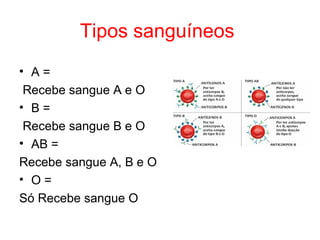 Tipos sanguíneos
• A=
 Recebe sangue A e O
• B=
 Recebe sangue B e O
• AB =
Recebe sangue A, B e O
• O=
Só Recebe sangue O
 