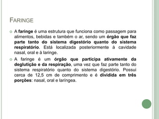 FARINGE
 A faringe é uma estrutura que funciona como passagem para
alimentos, bebidas e também o ar, sendo um órgão que faz
parte tanto do sistema digestório quanto do sistema
respiratório. Está localizada posteriormente à cavidade
nasal, oral e à laringe.
 A faringe é um órgão que participa ativamente da
deglutição e da respiração, uma vez que faz parte tanto do
sistema respiratório quanto do sistema digestório. Possui
cerca de 12,5 cm de comprimento e é dividida em três
porções: nasal, oral e laríngea.
 