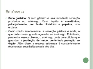 ESTÔMAGO
 Suco gástrico: O suco gástrico é uma importante secreção
produzida no estômago. Esse líquido é constituído,
principalmente, por ácido clorídrico e pepsina, uma
enzima.
 Como citado anteriormente, a secreção gástrica é ácida, o
que pode causar grande agressão ao estômago. Entretanto,
para evitar esse problema, o estômago conta com células que
garantem a produção de muco, conferindo proteção ao
órgão. Além disso, a mucosa estomacal é constantemente
regenerada, substituída a cada três dias.
 