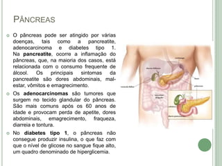 PÂNCREAS
 O pâncreas pode ser atingido por várias
doenças, tais como a pancreatite,
adenocarcinoma e diabetes tipo 1.
Na pancreatite, ocorre a inflamação do
pâncreas, que, na maioria dos casos, está
relacionada com o consumo frequente de
álcool. Os principais sintomas da
pancreatite são dores abdominais, mal-
estar, vômitos e emagrecimento.
 Os adenocarcinomas são tumores que
surgem no tecido glandular do pâncreas.
São mais comuns após os 60 anos de
idade e provocam perda de apetite, dores
abdominais, emagrecimento, fraqueza,
diarreia e tontura.
 No diabetes tipo 1, o pâncreas não
consegue produzir insulina, o que faz com
que o nível de glicose no sangue fique alto,
um quadro denominado de hiperglicemia.
 