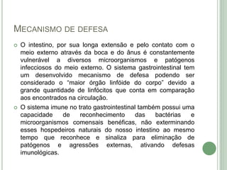 MECANISMO DE DEFESA
 O intestino, por sua longa extensão e pelo contato com o
meio externo através da boca e do ânus é constantemente
vulnerável a diversos microorganismos e patógenos
infecciosos do meio externo. O sistema gastrointestinal tem
um desenvolvido mecanismo de defesa podendo ser
considerado o “maior órgão linfóide do corpo” devido a
grande quantidade de linfócitos que conta em comparação
aos encontrados na circulação.
 O sistema imune no trato gastrointestinal também possui uma
capacidade de reconhecimento das bactérias e
microorganismos comensais benéficas, não exterminando
esses hospedeiros naturais do nosso intestino ao mesmo
tempo que reconhece e sinaliza para eliminação de
patógenos e agressões externas, ativando defesas
imunológicas.
 