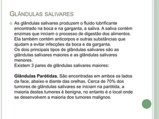 GLÂNDULAS SALIVARES
 As glândulas salivares produzem o fluido lubrificante
encontrado na boca e na garganta, a saliva. A saliva contém
enzimas que iniciam o processo de digestão dos alimentos.
Ela também contém anticorpos e outras substâncias que
ajudam a evitar infecções da boca e da garganta.
Os dois principais tipos de glândulas salivares são as
glândulas salivares maiores e as glândulas salivares
menores.
Existem 3 pares de glândulas salivares maiores:
Glândulas Parótidas. São encontradas em ambos os lados
da face, abaixo e diante das orelhas. Cerca de 70% dos
tumores de glândulas salivares se iniciam na parótida, a
maioria destes tumores é benigna, no entanto é o local onde
se desenvolvem a maioria dos tumores malignos.
 
