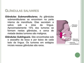 GLÂNDULAS SALIVARES
Glândulas Submandibulares. As glândulas
submandibulares se encontram na parte
interna da mandíbula. Elas secretam a
saliva sob a área da língua.
Aproximadamente 15% dos tumores se
formam nestas glândulas, e cerca de
metade destes tumores são malignos.
Glândulas Sublinguais. São encontradas sob
o assoalho da boca e por baixo de cada
lado da língua. Os tumores em estágios
iniciais nessas glândulas são raros.
 