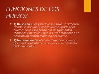 FUNCIONES DE LOS
HUESOS
 1) De sostén. El esqueleto constituye un armazón
donde se apoyan y fijan las demás partes del
cuerpo, pero especialmente los ligamentos,
tendones y músculos, que a su vez mantienen en
posición los demás músculos del cuerpo.
 2) Locomoción. Se efectúa formando palancas,
por medio del sistema articular y el movimiento
de los músculos.
 