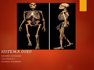 SISTEMA OSEO
MIEMBROS INFERIORES
CAJA TORACICA
COLUMNA VERTEBRAL
 