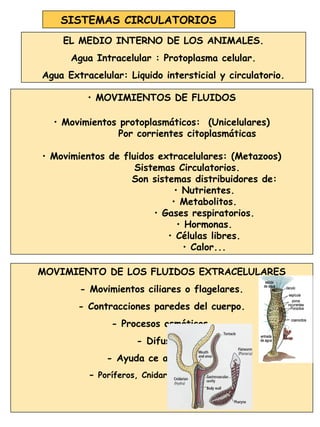 SISTEMAS CIRCULATORIOS
• MOVIMIENTOS DE FLUIDOS
• Movimientos protoplasmáticos: (Unicelulares)
Por corrientes citoplasmáticas
• Movimientos de fluidos extracelulares: (Metazoos)
Sistemas Circulatorios.
Son sistemas distribuidores de:
• Nutrientes.
• Metabolitos.
• Gases respiratorios.
• Hormonas.
• Células libres.
• Calor...
EL MEDIO INTERNO DE LOS ANIMALES.
Agua Intracelular : Protoplasma celular.
Agua Extracelular: Liquido intersticial y circulatorio.
MOVIMIENTO DE LOS FLUIDOS EXTRACELULARES
- Movimientos ciliares o flagelares.
- Contracciones paredes del cuerpo.
- Procesos osmóticos.
- Difusión.
- Ayuda ce amebocitos.
- Poríferos, Cnidarios, Acelomados.
 