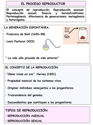 EL PROCESO REPRODUCTOR
El concepto de reproducción. Reproducción asexual.
Reproducción sexual; Dioecia y hermafroditismo;
Partenogénesis. Alternancia de generaciones: metagénesis
y heterogonia.
LA GENERACIÓN ESPONTÁNEA.
• Francisco de Redi (1626-98)
• Louis Pasterur (XIX)
“ La vida sólo procede de vida anterior”
TIPOS DE REPRODUCCIÓN
• REPRODUCCIÓN ASEXUAL
• REPRODUCCIÓN SEXUAL
EL CONCEPTO DE LA REPRODUCCIÓN.
•“Omne vivum ex ovo” Harvey (1651)
• Propiedad esencial de los sistemas vivos.
• Originar individuos semejantes a los progenitores.
• Trascendencia del genoma.
• Descendientes que sustituyen a los progenitores
 