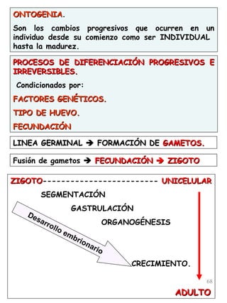 68
ONTOGENIAONTOGENIA.
Son los cambios progresivos que ocurren en un
individuo desde su comienzo como ser INDIVIDUAL
hasta la madurez.
ZIGOTOZIGOTO------------------------- UNICELULARUNICELULAR
SEGMENTACIÓN
GASTRULACIÓN
ORGANOGÉNESIS
CRECIMIENTO.
ADULTOADULTO
Desarrollo embrionario
PROCESOS DE DIFERENCIACIÓN PROGRESIVOS EPROCESOS DE DIFERENCIACIÓN PROGRESIVOS E
IRREVERSIBLES.IRREVERSIBLES.
Condicionados por:
FACTORES GENÉTICOS.FACTORES GENÉTICOS.
TIPO DE HUEVO.TIPO DE HUEVO.
FECUNDACIÓNFECUNDACIÓN
LINEA GERMINALLINEA GERMINAL  FORMACIÓN DEFORMACIÓN DE GAMETOS.GAMETOS.
Fusión de gametos  FECUNDACIÓNFECUNDACIÓN  ZIGOTOZIGOTO
 