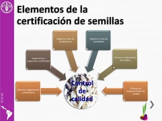 Sistemas de Control de Calidad de Semillas, Por Gonzalo Tejada, FAO-RLC
