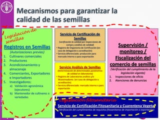 Sistemas de Control de Calidad de Semillas, Por Gonzalo Tejada, FAO-RLC