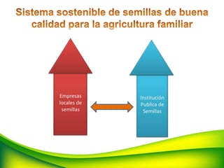 Seguridad Semillera para la Seguridad Alimentaria, Por Allan Hruska