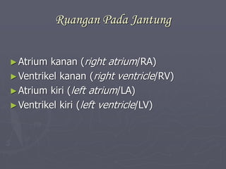 Ruangan Pada Jantung
►Atrium kanan (right atrium/RA)
►Ventrikel kanan (right ventricle/RV)
►Atrium kiri (left atrium/LA)
►Ventrikel kiri (left ventricle/LV)
 