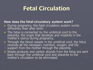 Fetal Circulation
How does the fetal circulatory system work?
► During pregnancy, the fetal circulatory system works
differently than after birth:
► The fetus is connected by the umbilical cord to the
placenta, the organ that develops and implants in the
mother's uterus during pregnancy.
► Through the blood vessels in the umbilical cord, the fetus
receives all the necessary nutrition, oxygen, and life
support from the mother through the placenta.
► Waste products and carbon dioxide from the fetus are sent
back through the umbilical cord and placenta to the
mother's circulation to be eliminated.
 
