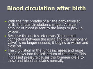 Blood circulation after birth
► With the first breaths of air the baby takes at
birth, the fetal circulation changes. A larger
amount of blood is sent to the lungs to pick up
oxygen.
► Because the ductus arteriosus (the normal
connection between the aorta and the pulmonary
valve) is no longer needed, it begins to wither and
close off.
► The circulation in the lungs increases and more
blood flows into the left atrium of the heart. This
increased pressure causes the foramen ovale to
close and blood circulates normally.
 