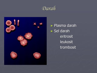 Darah
► Plasma darah
► Sel darah
eritrosit
leukosit
trombosit
 