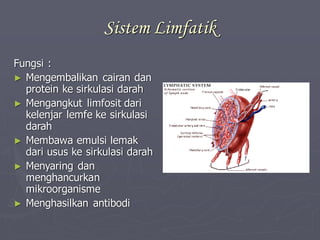 Sistem Limfatik
Fungsi :
► Mengembalikan cairan dan
protein ke sirkulasi darah
► Mengangkut limfosit dari
kelenjar lemfe ke sirkulasi
darah
► Membawa emulsi lemak
dari usus ke sirkulasi darah
► Menyaring dan
menghancurkan
mikroorganisme
► Menghasilkan antibodi
 