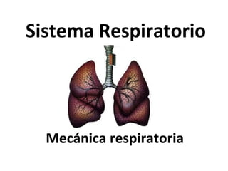 Sistema Respiratorio Mecánica respiratoria 
