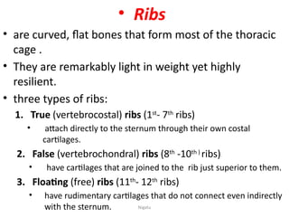 Anatomy of the skeletal system.... ..pptx