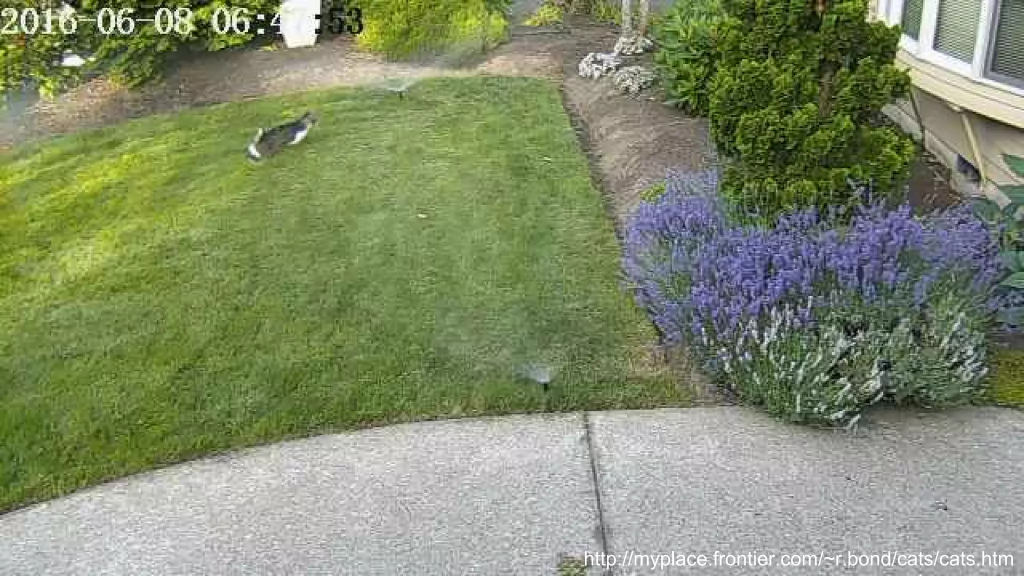 AutoTrash http://myplace.frontier.com/~r.bond/cats/cats.htm
 