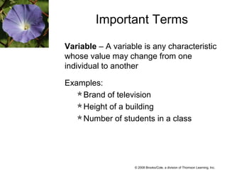 © 2008 Brooks/Cole, a division of Thomson Learning, Inc.
Important Terms
Variable – A variable is any characteristic
whose value may change from one
individual to another
Examples:
Brand of television
Height of a building
Number of students in a class
 