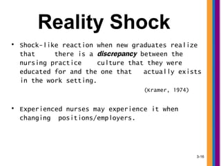 Realization Shock Preceptorship-socialization | PPT