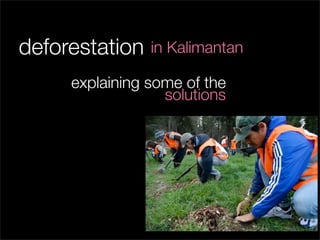 deforestation   in Kalimantan

     explaining some of the
                  solutions
 