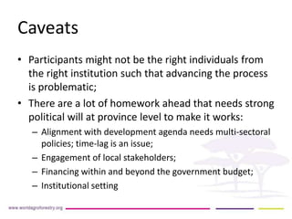 Strengthening capacities for informed mitigation action planning across Indonesianprovinces
