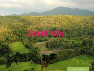 Strengthening capacities for informed mitigation action planning across Indonesianprovinces