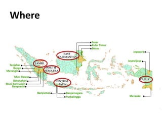 Strengthening capacities for informed mitigation action planning across Indonesianprovinces