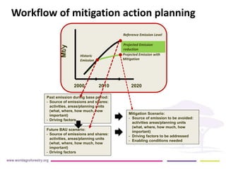 Strengthening capacities for informed mitigation action planning across Indonesianprovinces