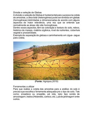 Divisão e seleção de Glebas
A divisão e seleção de Glebas é fundamental para sucessona coleta
de amostras, a área total (heterogênea) pode serdividida em glebas
(homogêneas) delimitadas e dimensionadas de acordo com alguns
aspectos de maior relevância, uma vez que se entende que
normalmente as áreas não são homogêneas.
Dentre esses aspectos, têm-se coloração e textura do solo, relevo,
histórico de manejo, matéria orgânica, nível de nutrientes, cobertura
vegetal e produtividade.
Exemplo de separação de glebas e caminhamento em zigue- zague
para coleta.
(Fonte: Agropos,2019)
Ferramentas a utilizar
Para que realize a coleta das amostras para a análise do solo é
preciso que escolha a ferramenta adequada pra o tipo de solo. Tais
como: enxadeco ou enxadão, pá reta, tubo tipo sonda de
amostragem,trados (Holandês,caneco,etc.),páde jardinagem entre
outros.
 