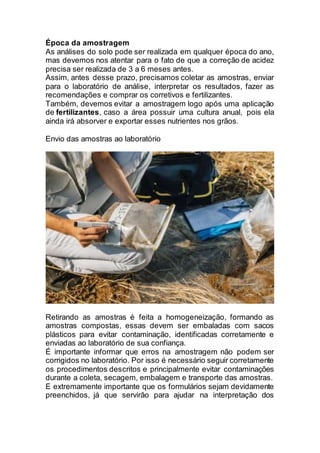 Época da amostragem
As análises do solo pode ser realizada em qualquer época do ano,
mas devemos nos atentar para o fato de que a correção de acidez
precisa ser realizada de 3 a 6 meses antes.
Assim, antes desse prazo, precisamos coletar as amostras, enviar
para o laboratório de análise, interpretar os resultados, fazer as
recomendações e comprar os corretivos e fertilizantes.
Também, devemos evitar a amostragem logo após uma aplicação
de fertilizantes, caso a área possuir uma cultura anual, pois ela
ainda irá absorver e exportar esses nutrientes nos grãos.
Envio das amostras ao laboratório
Retirando as amostras é feita a homogeneização, formando as
amostras compostas, essas devem ser embaladas com sacos
plásticos para evitar contaminação, identificadas corretamente e
enviadas ao laboratório de sua confiança.
É importante informar que erros na amostragem não podem ser
corrigidos no laboratório. Por isso é necessário seguir corretamente
os procedimentos descritos e principalmente evitar contaminações
durante a coleta, secagem, embalagem e transporte das amostras.
E extremamente importante que os formulários sejam devidamente
preenchidos, já que servirão para ajudar na interpretação dos
 