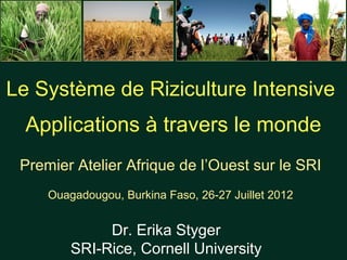 Le Système de Riziculture Intensive
  Applications à travers le monde
 Premier Atelier Afrique de l’Ouest sur le SRI
     Ouagadougou, Burkina Faso, 26-27 Juillet 2012


              Dr. Erika Styger
         SRI-Rice, Cornell University
 