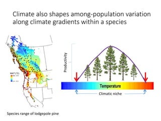 Climate Modeling for the Asia-Pacific